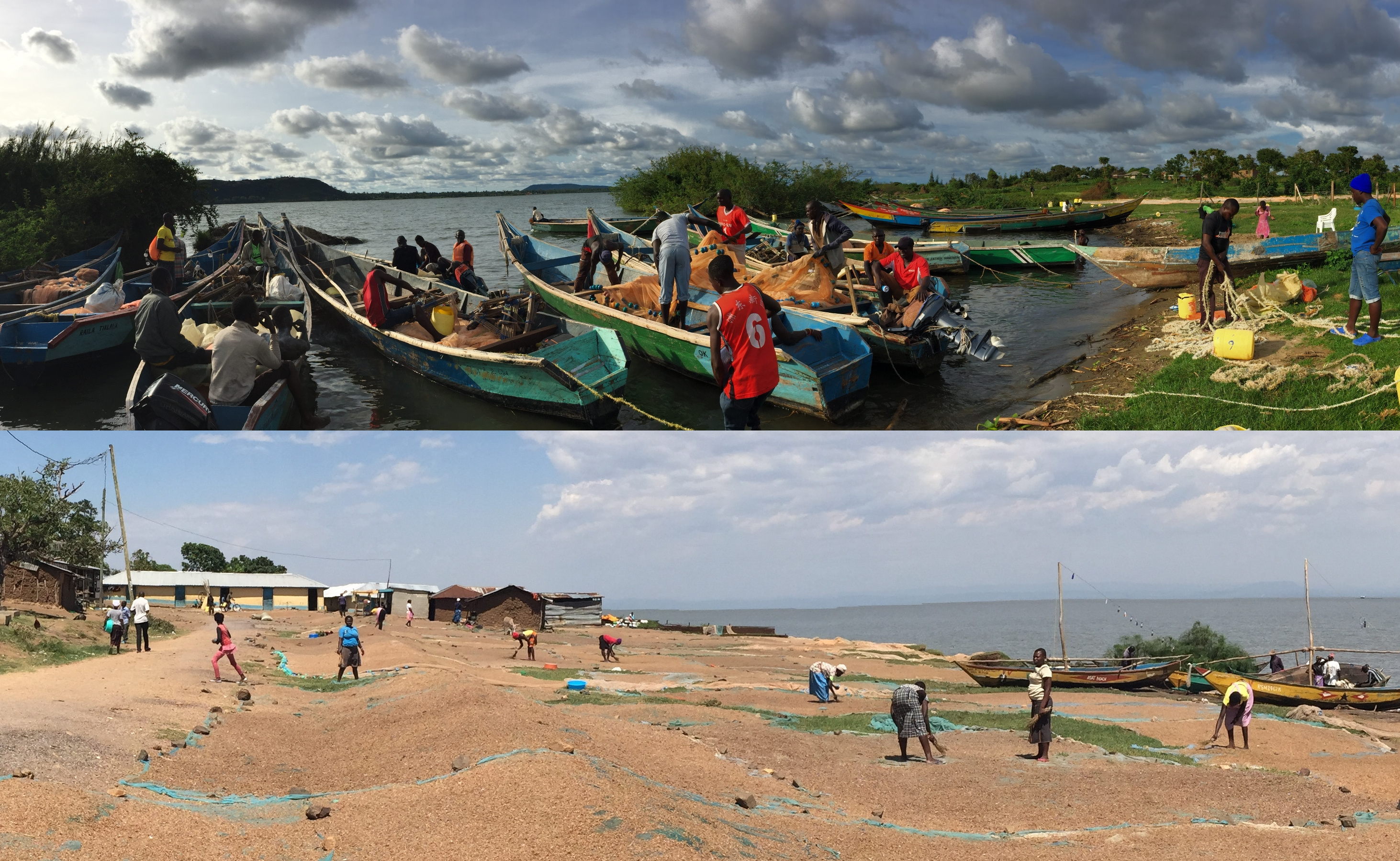 Lake Victoria dagaa fishery Lake Victoria dagaa fishery