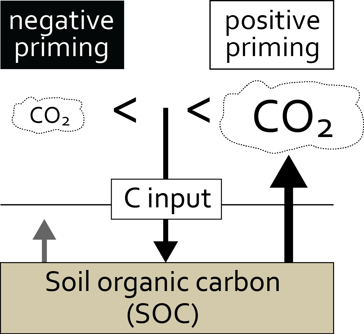 Fig. 1 - An illustration of the soil priming effect.
