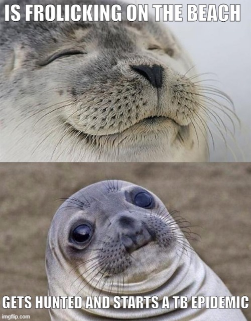 Seal meme