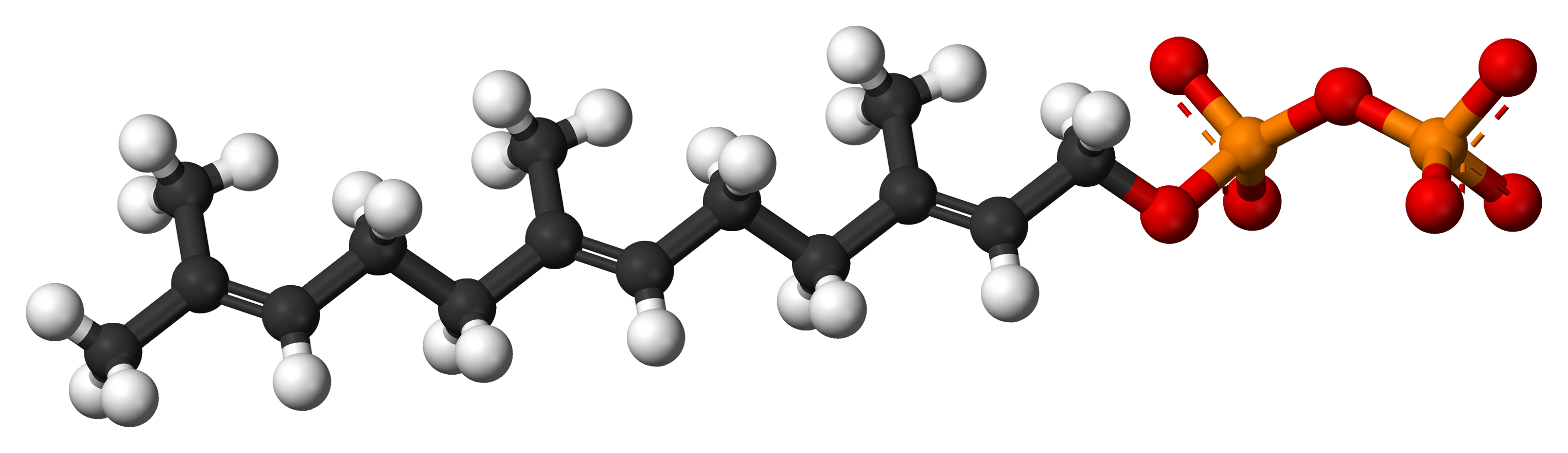 Farnesyl pyrophosphate (FPP)