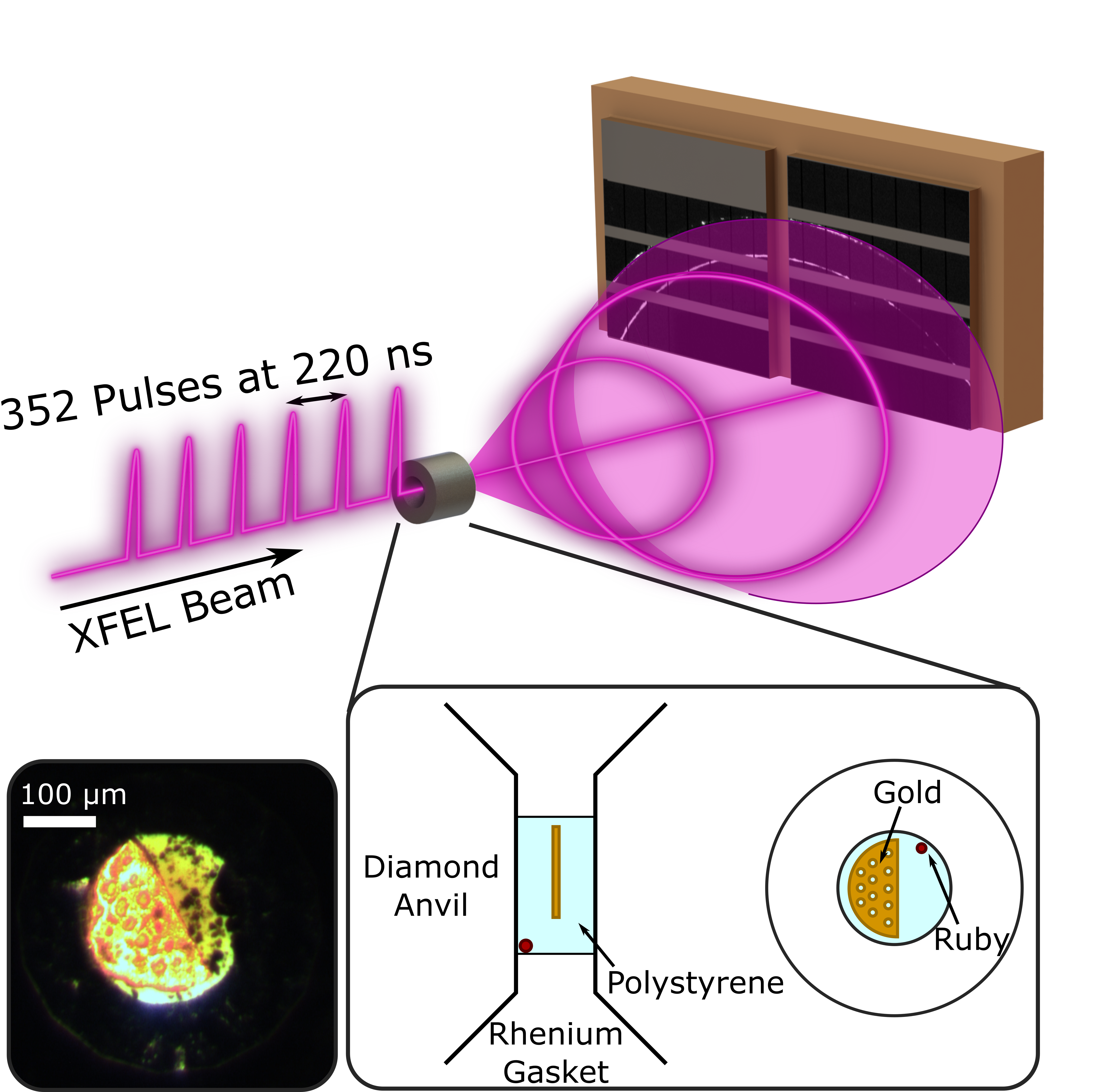 Experimental setup showing dimaond anvil cell being probed by XFEL pulses