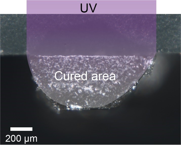 A close-up of a uv-ray

Description automatically generated