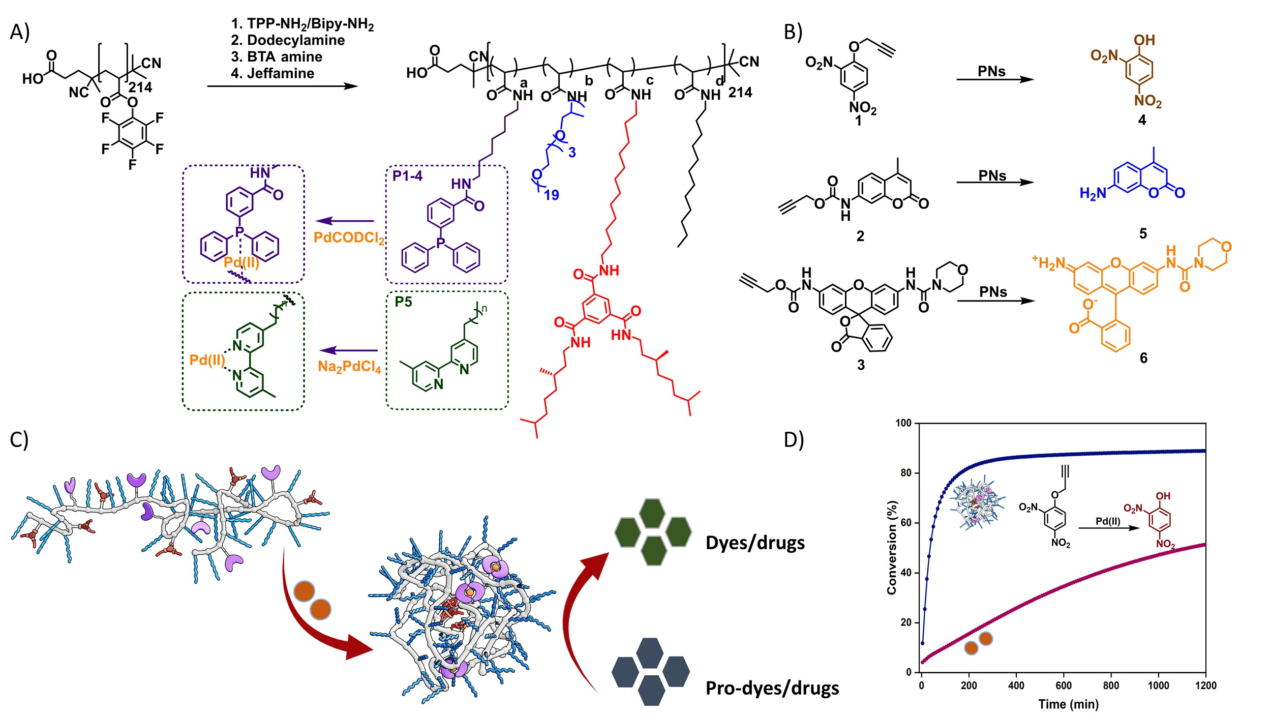 A) Structure of amphiphilic polymers with Pd(II) binding ligands B) Structure of pro-dyes that can be activated using catalytic SCPNs C) Cartoon representation for the formation of SCPNs in water and activation of pro-drugs/dyes D) Comparison of catalytic activity of SCPNs vs free Pd(II) salt for activating pro-dyes. 