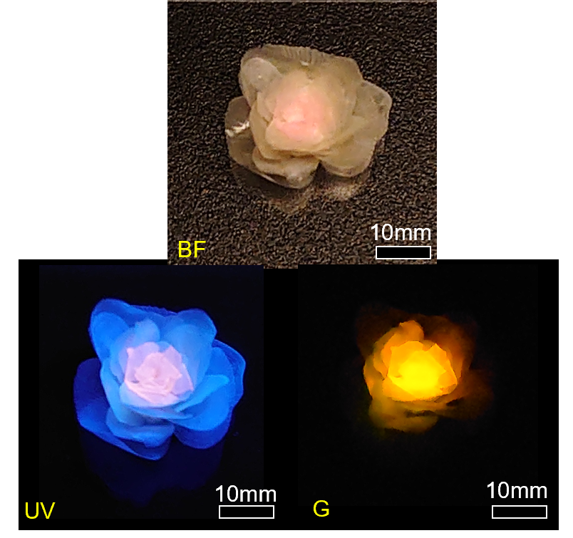 Flower from fish scales