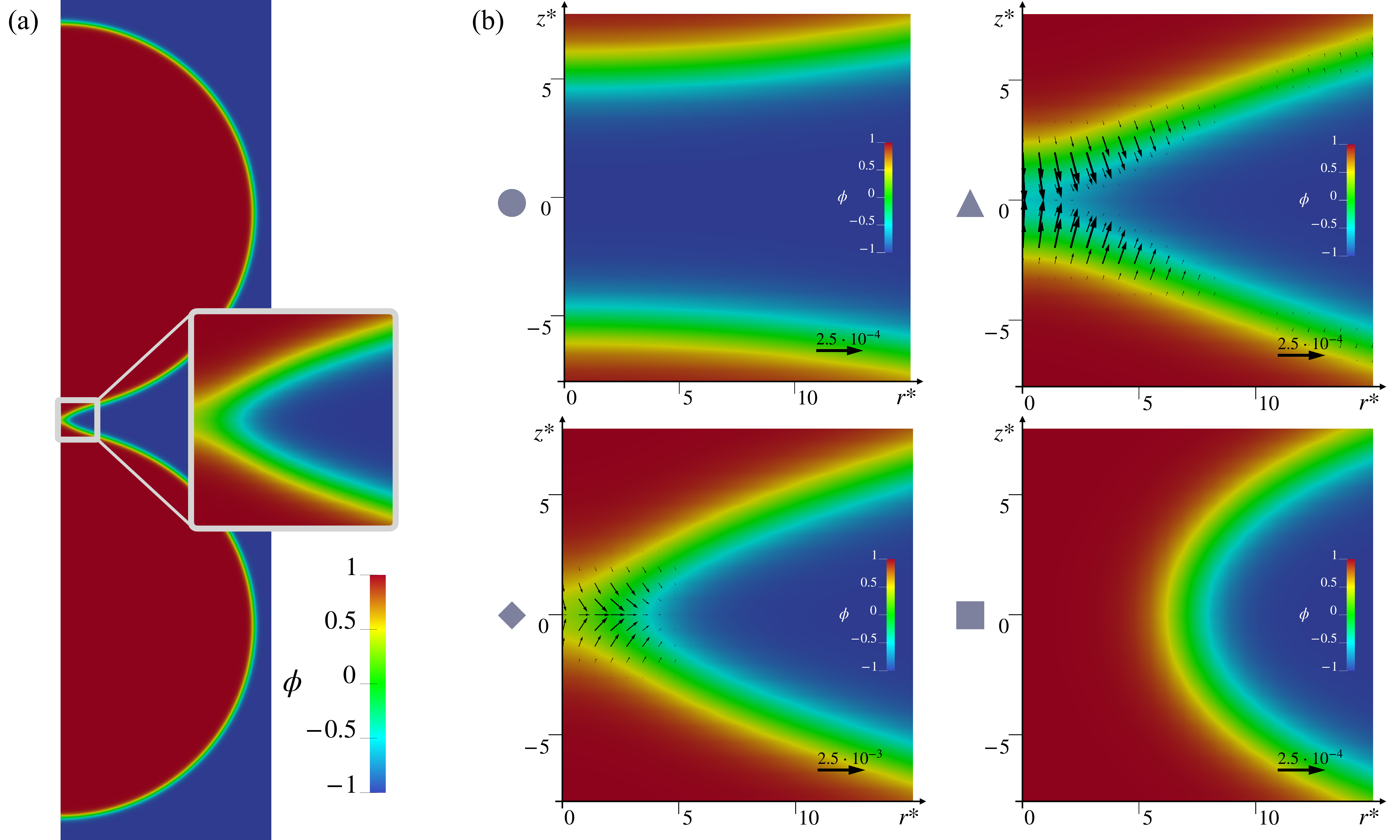 a Full-scale vesicle configuration highlighting the merging region enlarged in panel b. b Proceeding in the forward direction: equilibrium of the two bilayers (circle); merging of the proximal interface region (triangle); merging of the distal interface region (rhombus); saddle point configuration (square). Vectors depict the force field f* required to keep the vesicle in equilibrium in the given configuration, balancing the internal elastic reaction and are scaled according to the reference arrows, in dimensionless units as described in the paper. 