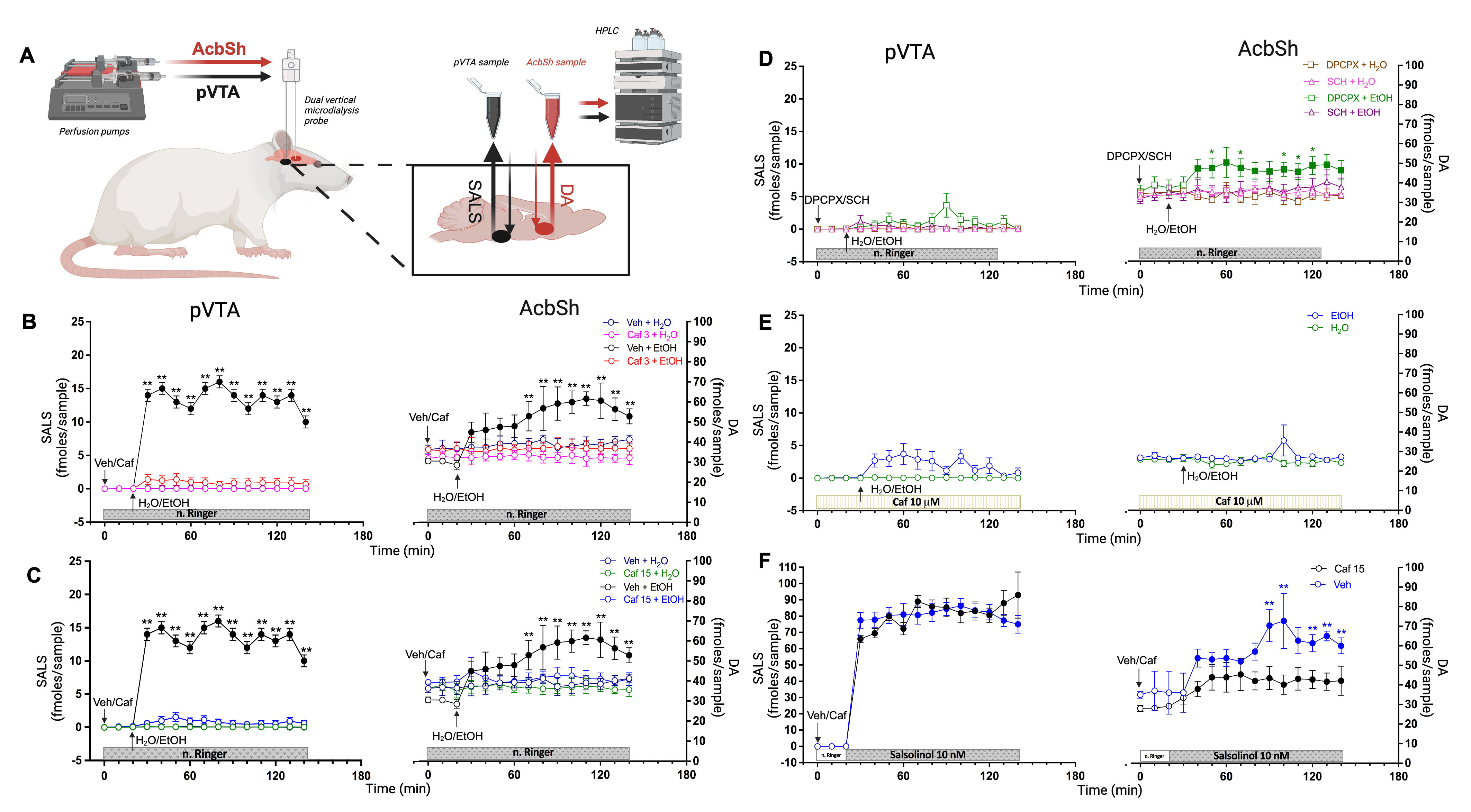 Effects of caffeine, DPCPX, and SCH 58261 on alcohol-induced pVTA salsolinol formation and AcbSh DA increase, and effects of caffeine on salsolinol bioavailability and AcbSh DA increase during pVTA perfusion with salsolinol.