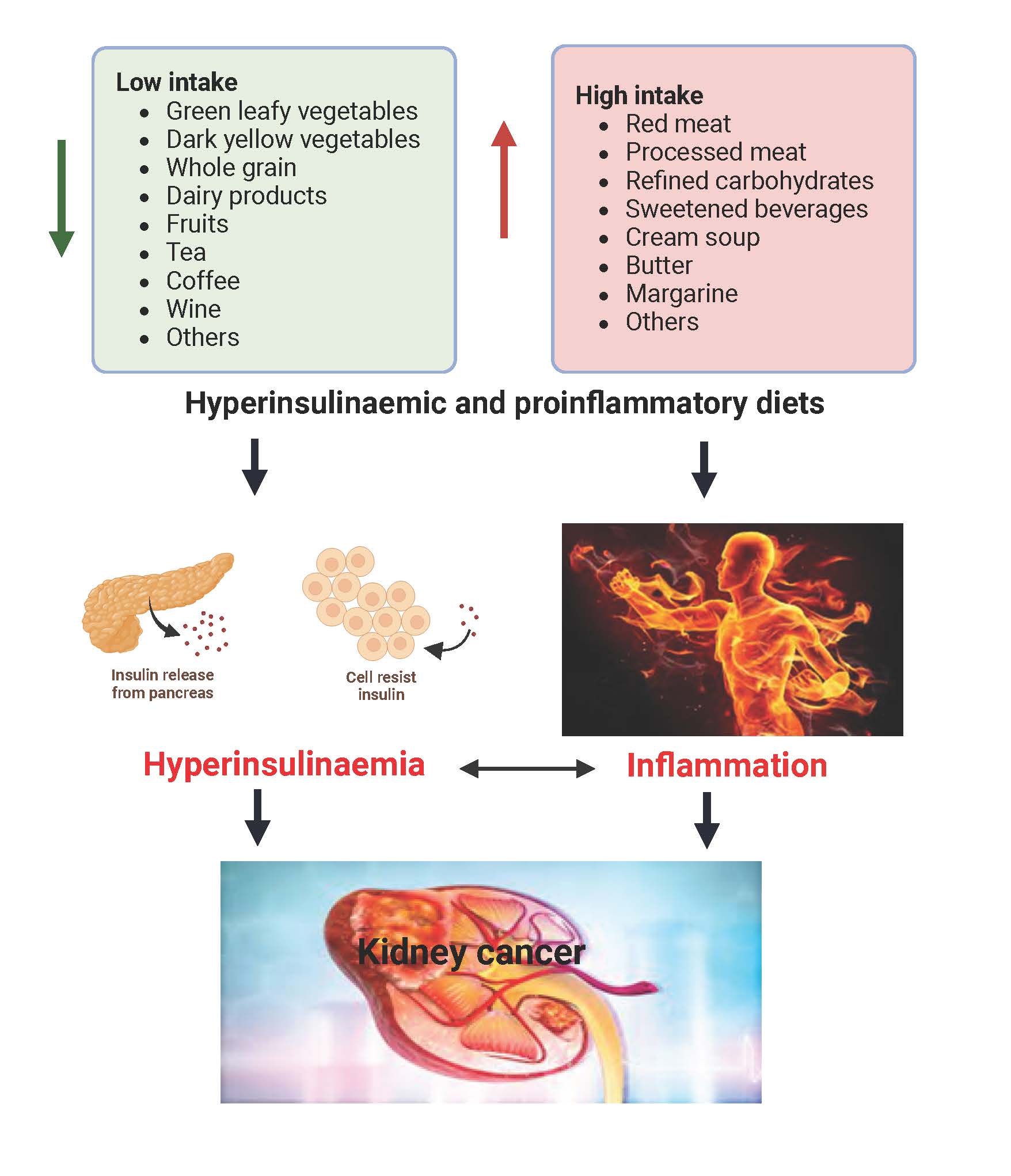 I want to keep this figure on the left under the section "Background on dietary patterns, hyperinsulinemia, inflammation, and cancer 