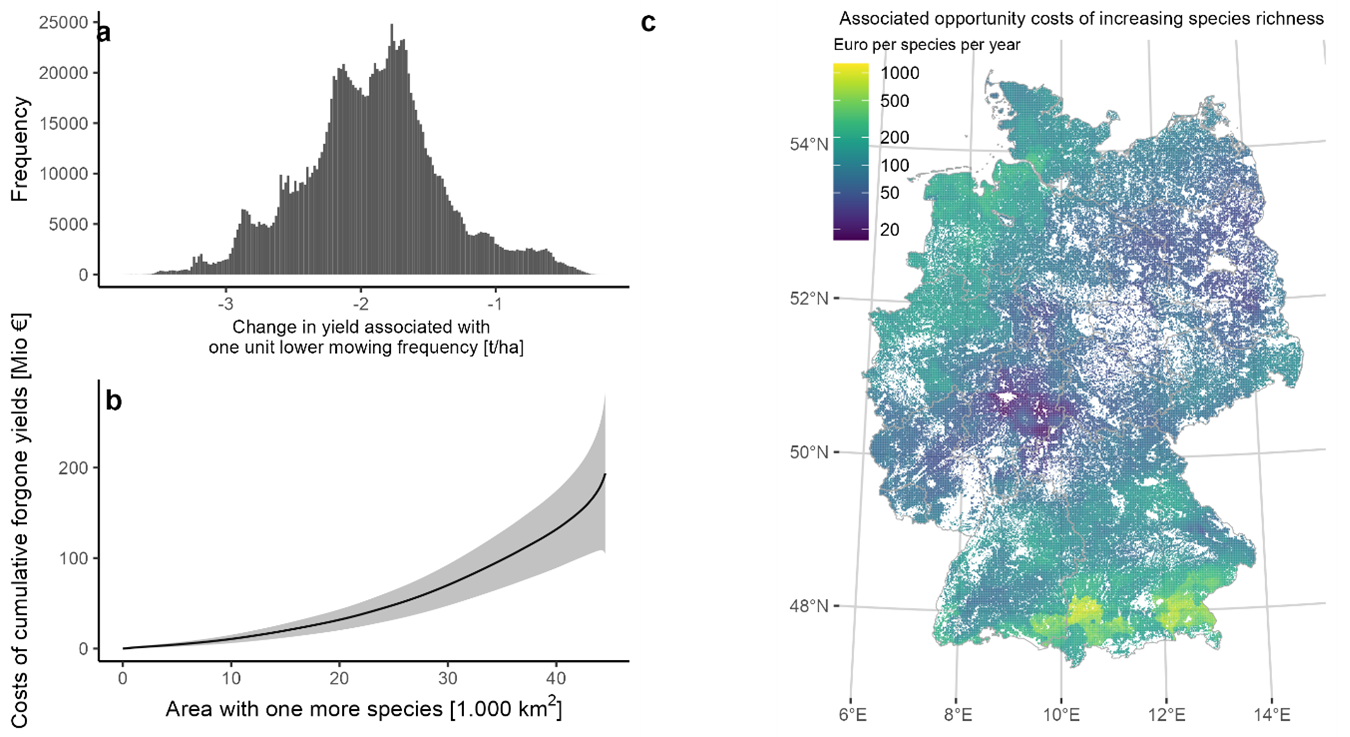 Upper bound of the opportunity cost of increased plant species richness. Panel a shows the distribution of the lost dry matter yield per hectare at a one unit lower mowing frequency. Panel b shows the cumulative curve of the upper bound of opportunity costs in terms of lost hay production assuming an average hay price of 70 €/ton. The grey confidence band shows the annual variability and the prediction error. Panel c shows the spatial distribution of the associated opportunity costs in terms of the monetary value of the foregone hay yield per unit increase in plant species richness.