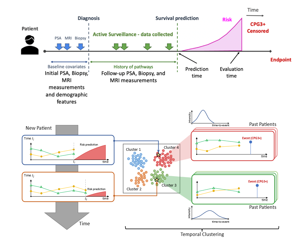 Overview of study and model set-up