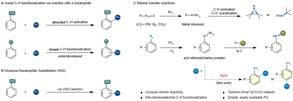 Fig.1 Introduction to arene C–H functionalization and metal nitrenoid in  activation