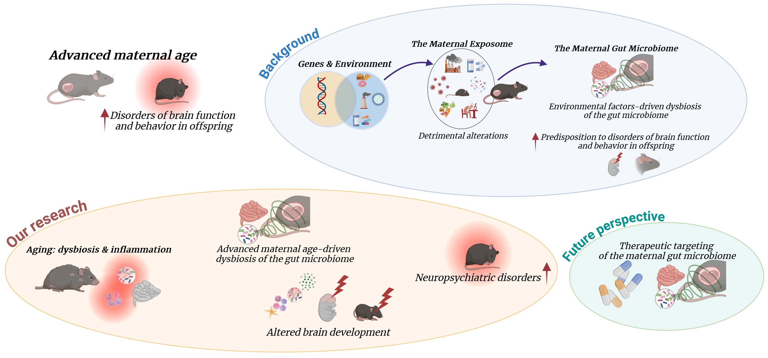 Project rational and main findings