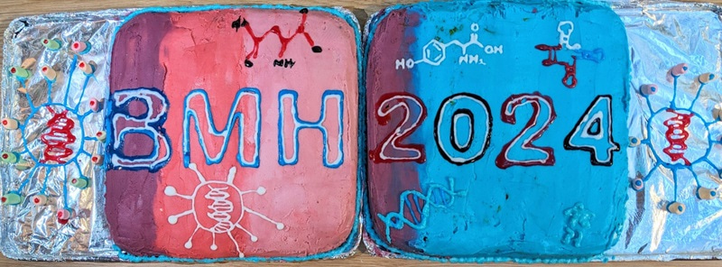 Cake decorated with icing representing biomolecules.