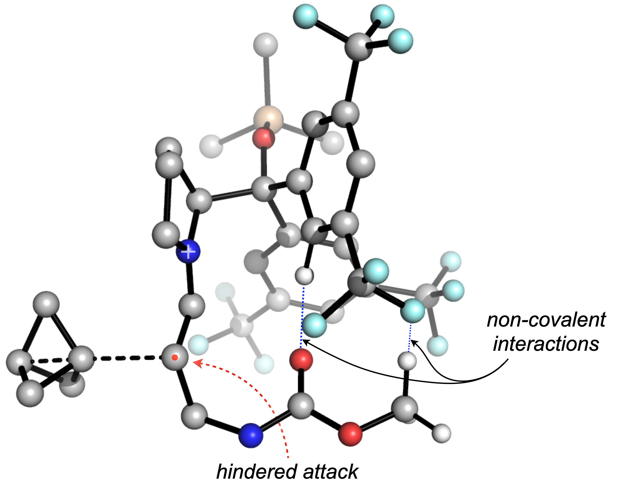 We used DFT to develop a selectivity model, which showed us the importance of non-covalent interactions on the attack trajectory.