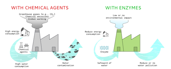 Representation of the benefits of using enzymes in industrial processes