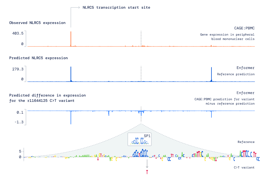 DeepMind Enformer diagram 3