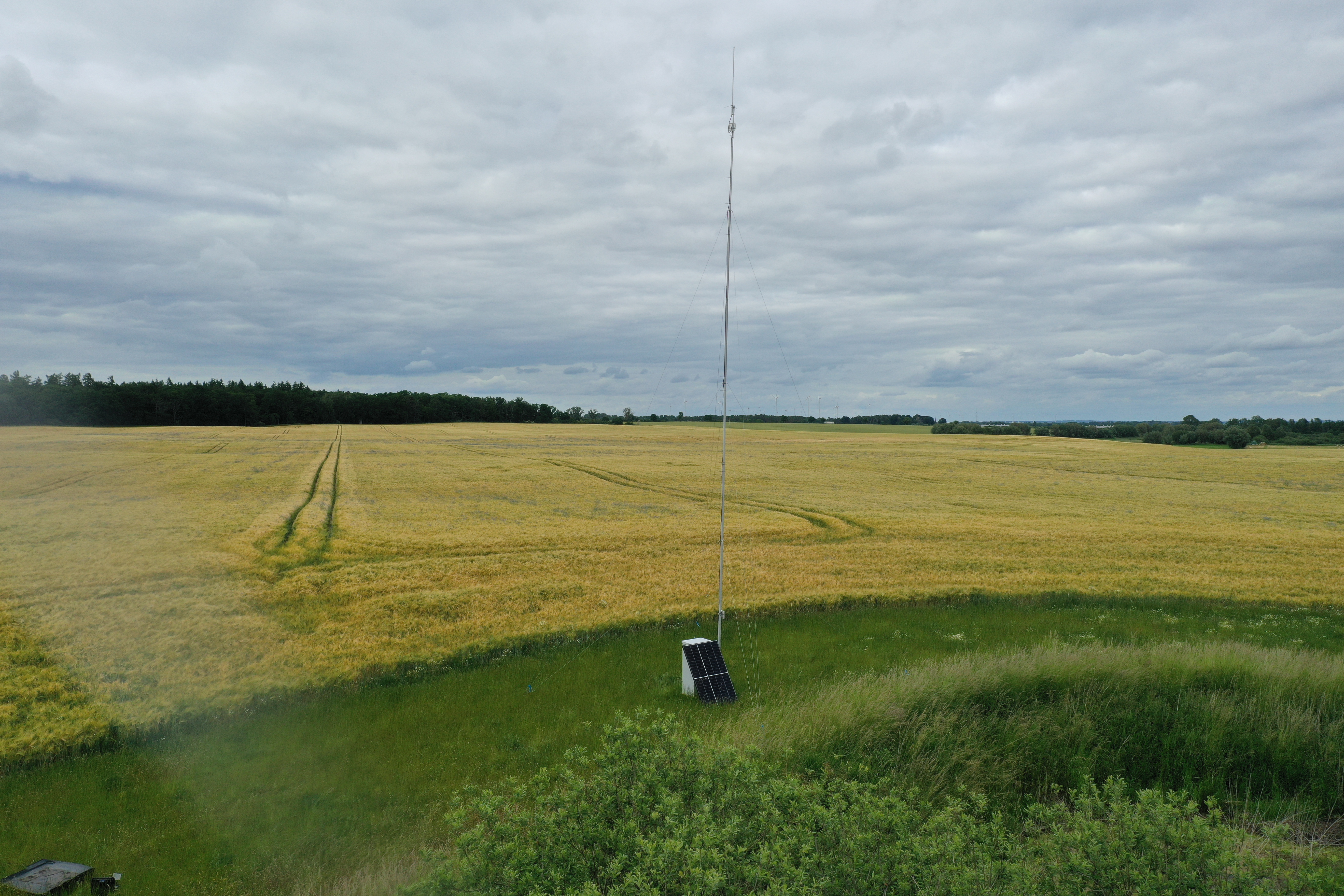 Atlas receiver set up in the Uckermark area close to a natural habitat patch that is embedded in the agricultural crop fields