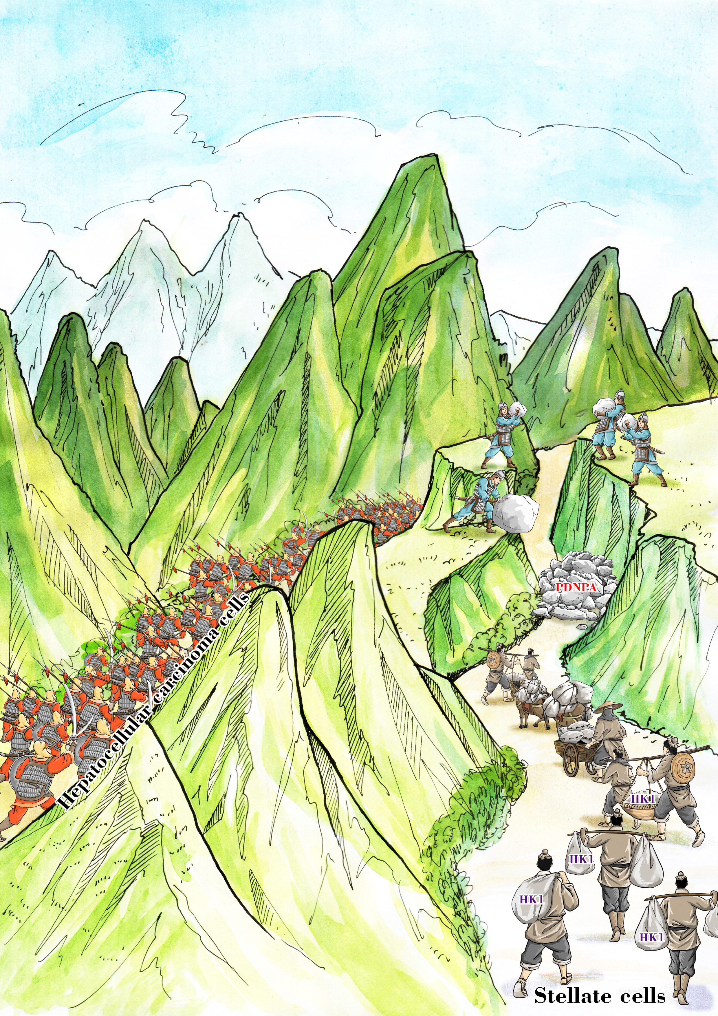 The vigorous growth of tumor cells is analogous to a marching ancient army (left) which consumes large quantities of materials. Hepatic stellate cells release HK1 in material assistance to the tumor progression like porters in logistic support for the army (right). As PDNPA was employed to block the path of the porters, the support for the tumor progression will be choked off just as the movement of the army will be halted as the deficiency in material supply would impede the rapid advancement. 