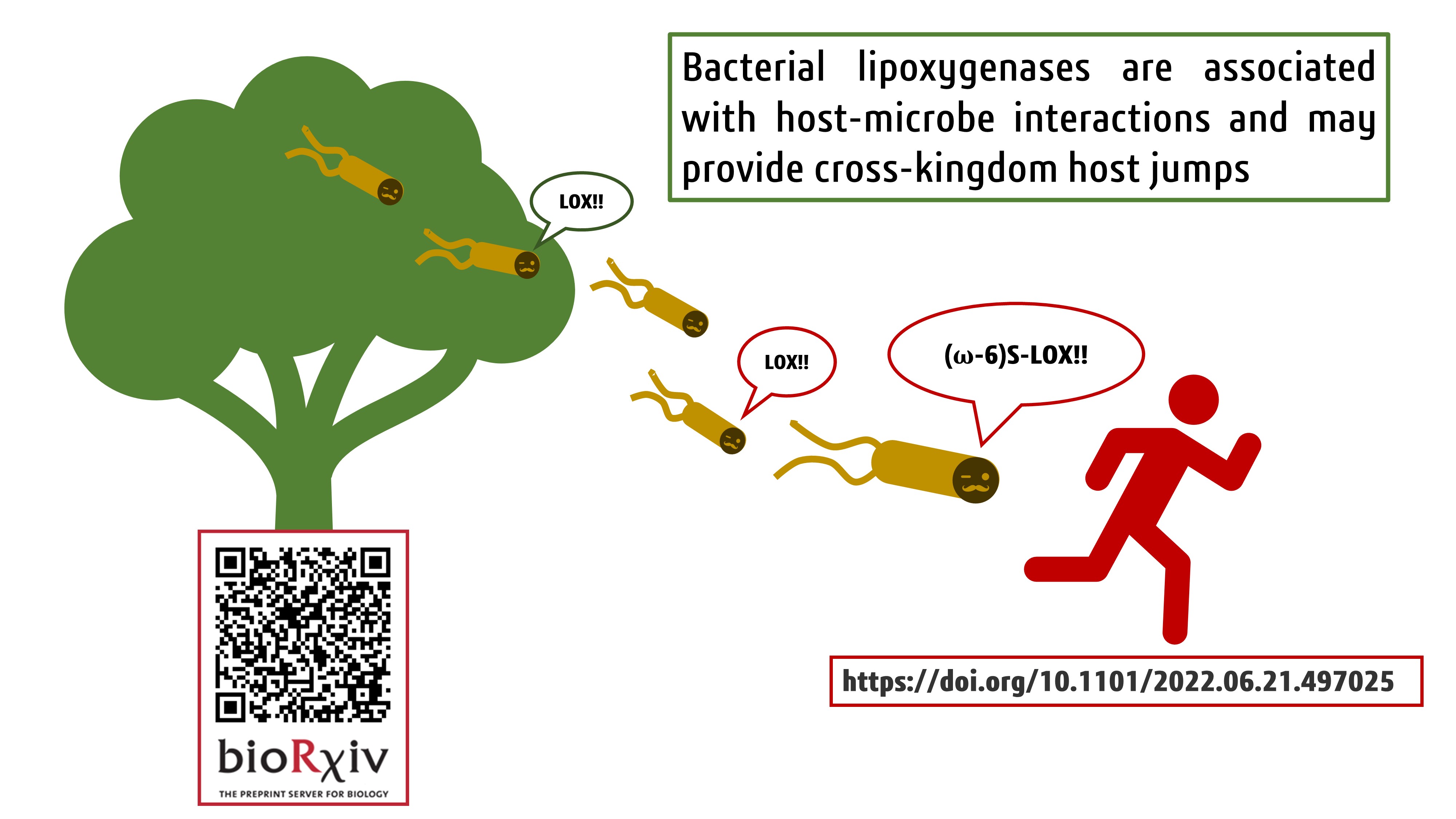 Lipoxygenase preprint promotional card