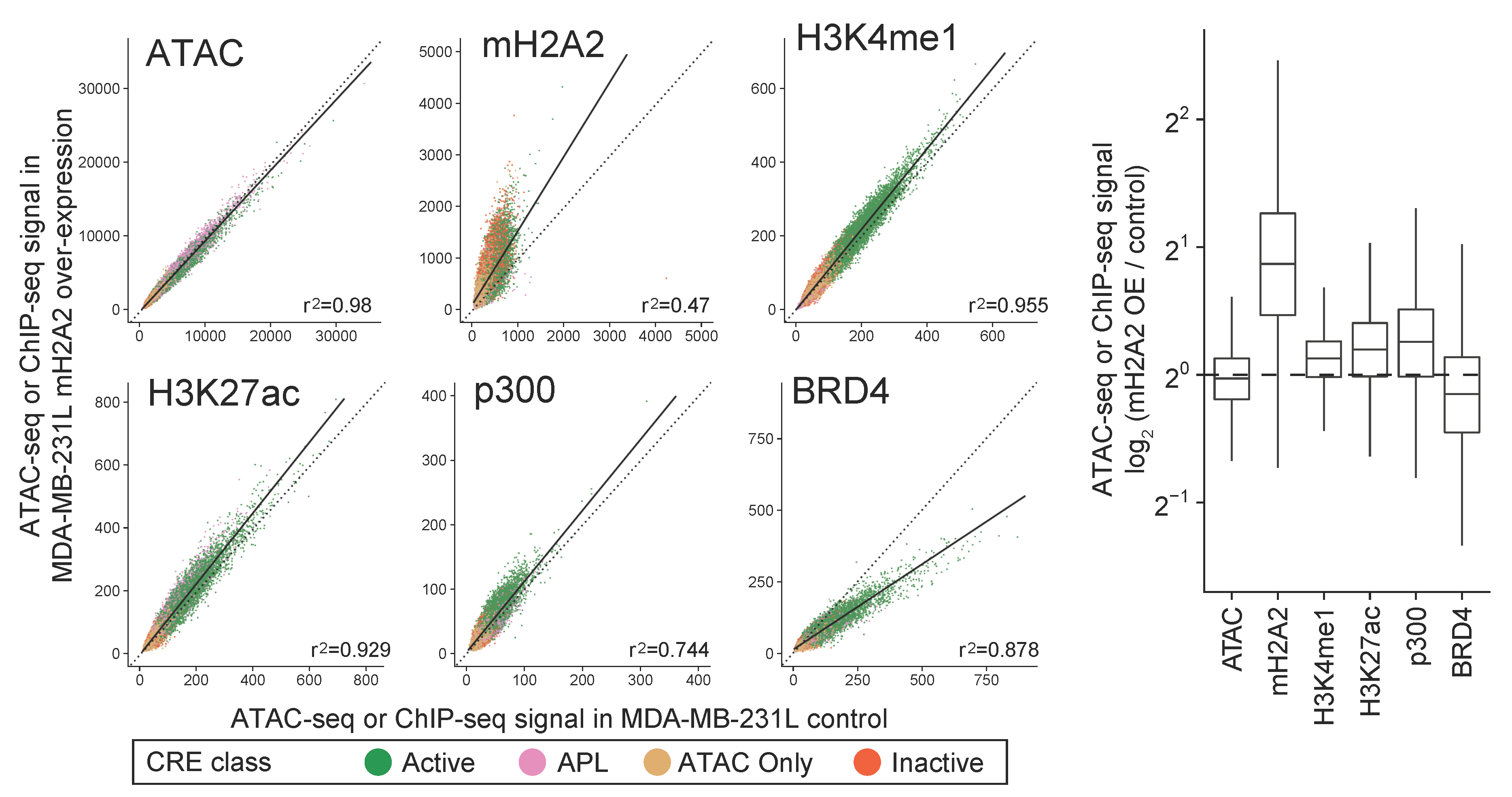 Epigenomic profiling of 231L cells with overexpression of mH2A2 Epigenomic profiling of 231L cells with overexpression of mH2A2