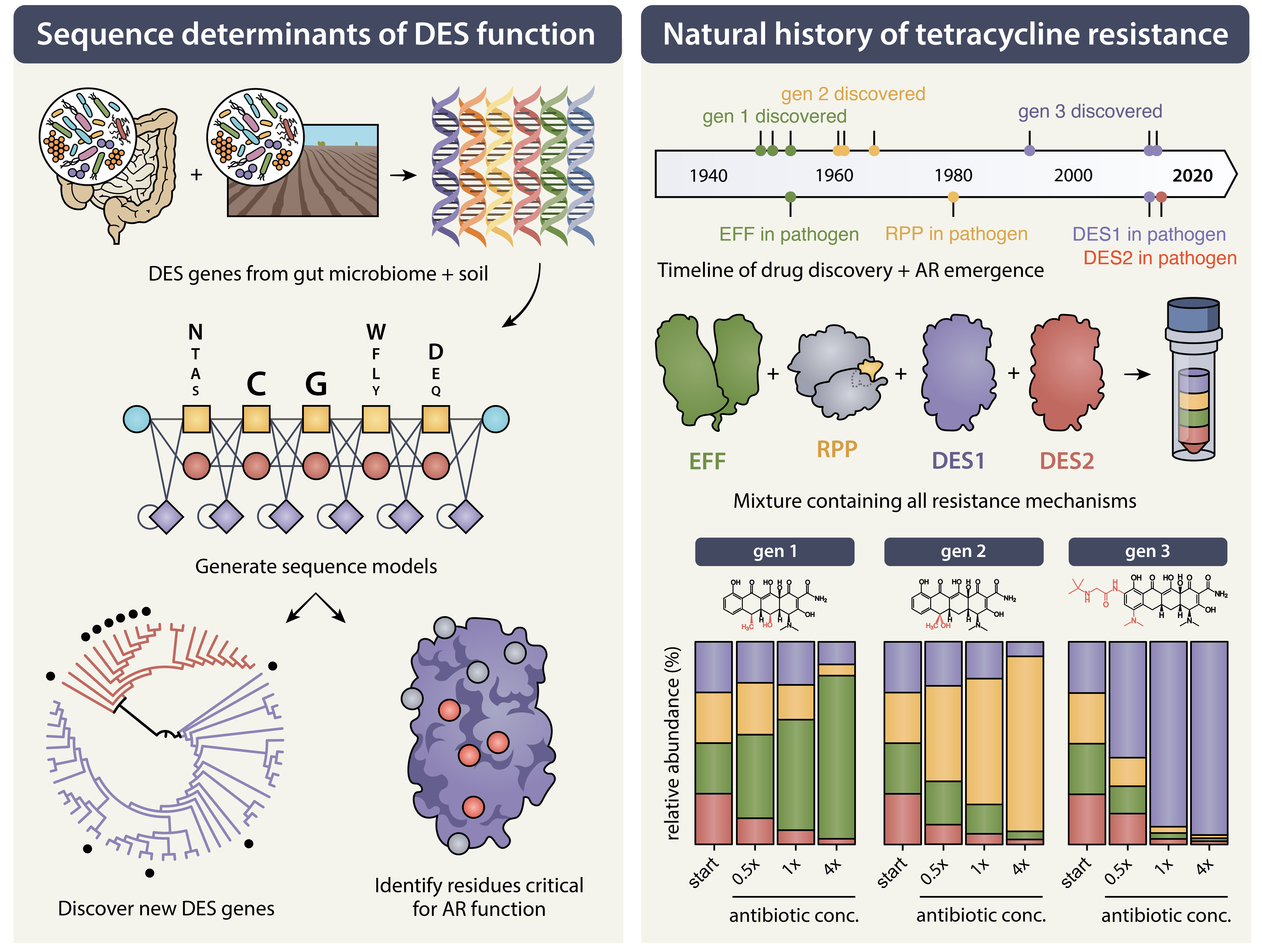 Approaches for studying the DESs