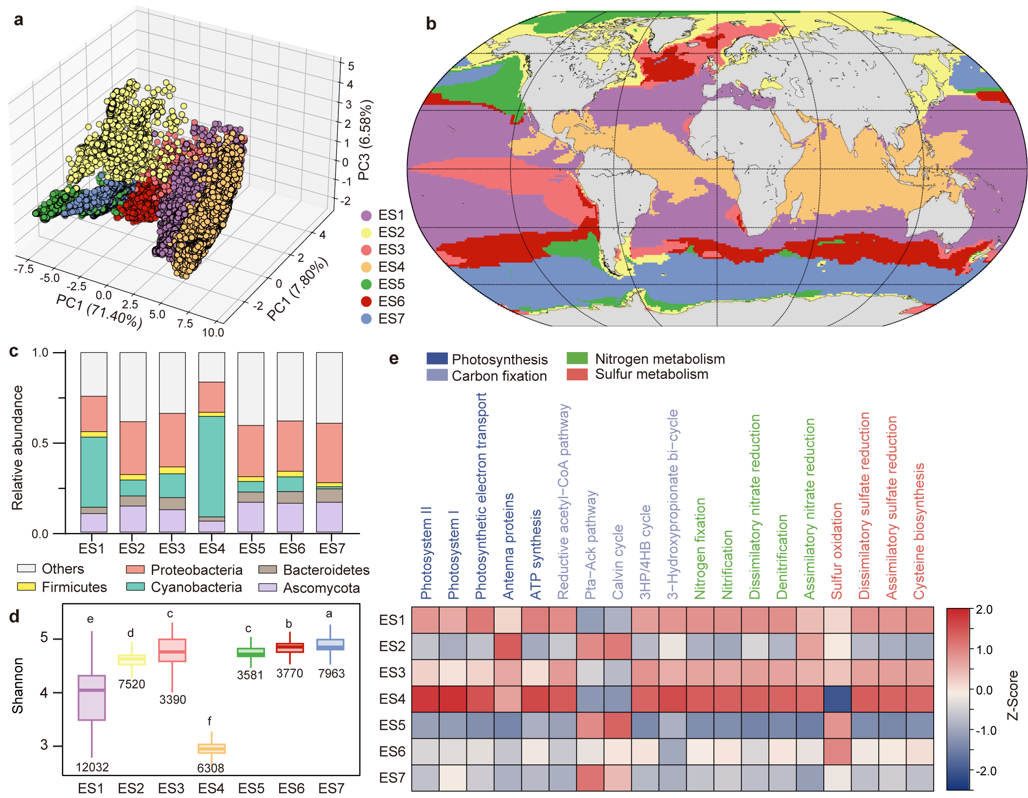 Ecological status of oceanic microbial communities in the surface ocean
