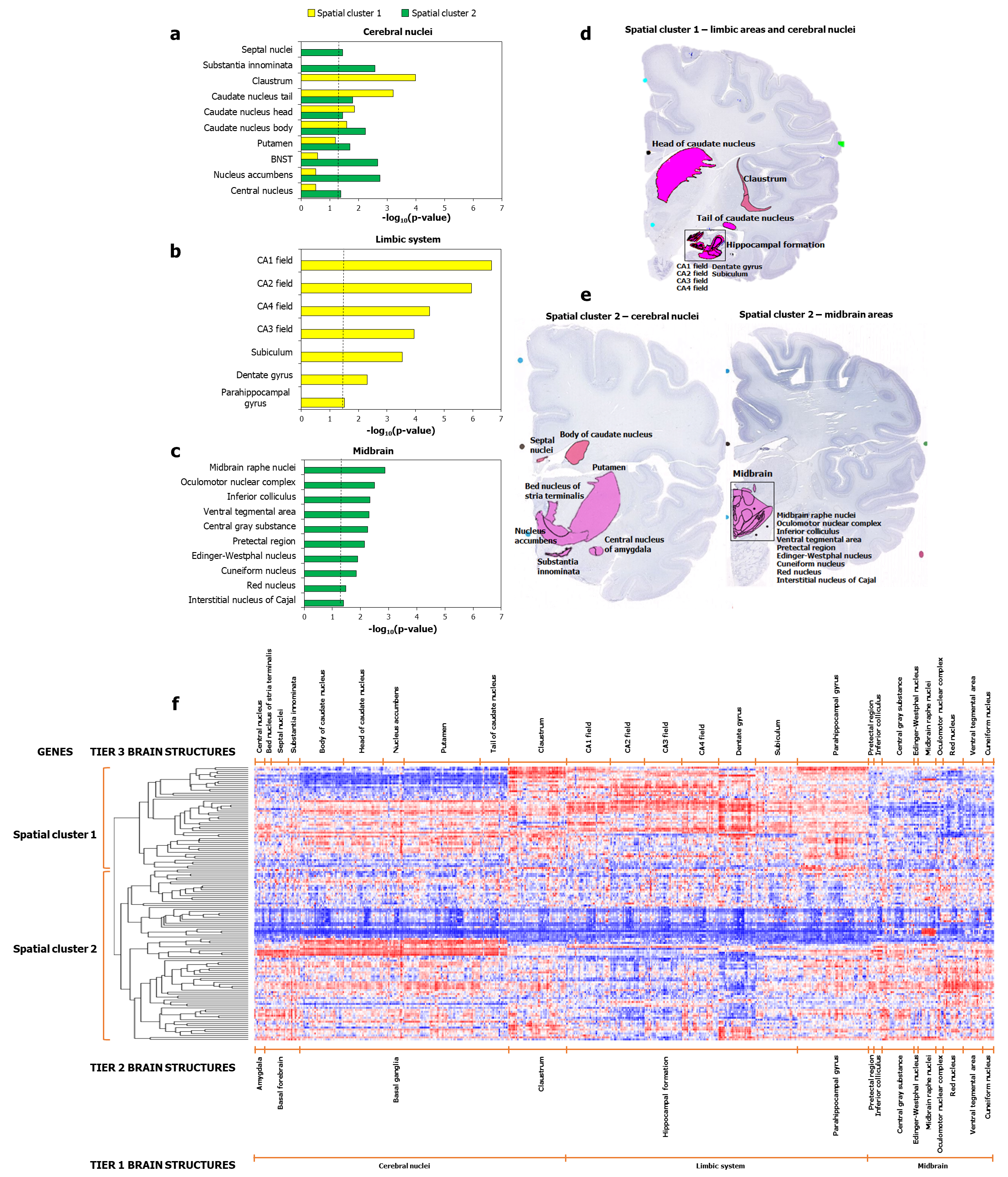 Figure 2: Spatial cluster 1 and spatial cluster 2 showed differential enrichment patterns in specific regions.