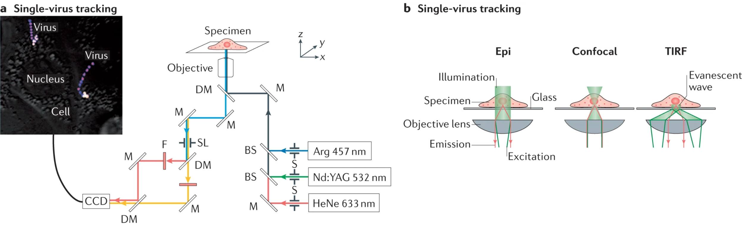 Fig. 2: Materials science in viral research and protection.  a | Single-virus tracking workflow using fluorescence microscopy. The representative image shows an influenza virus in Chinese hamster ovary cells (z-stacked time-lapse images, the colour code from pink/blue to yellow/white indicates the timescale from 0 s to 500 s). b | There are three possible imaging geometries in single-virus tracking, that is, epifluorescence geometry (Epi), confocal microscopy and total internal reflection fluorescence (TIRF) geometry. 
