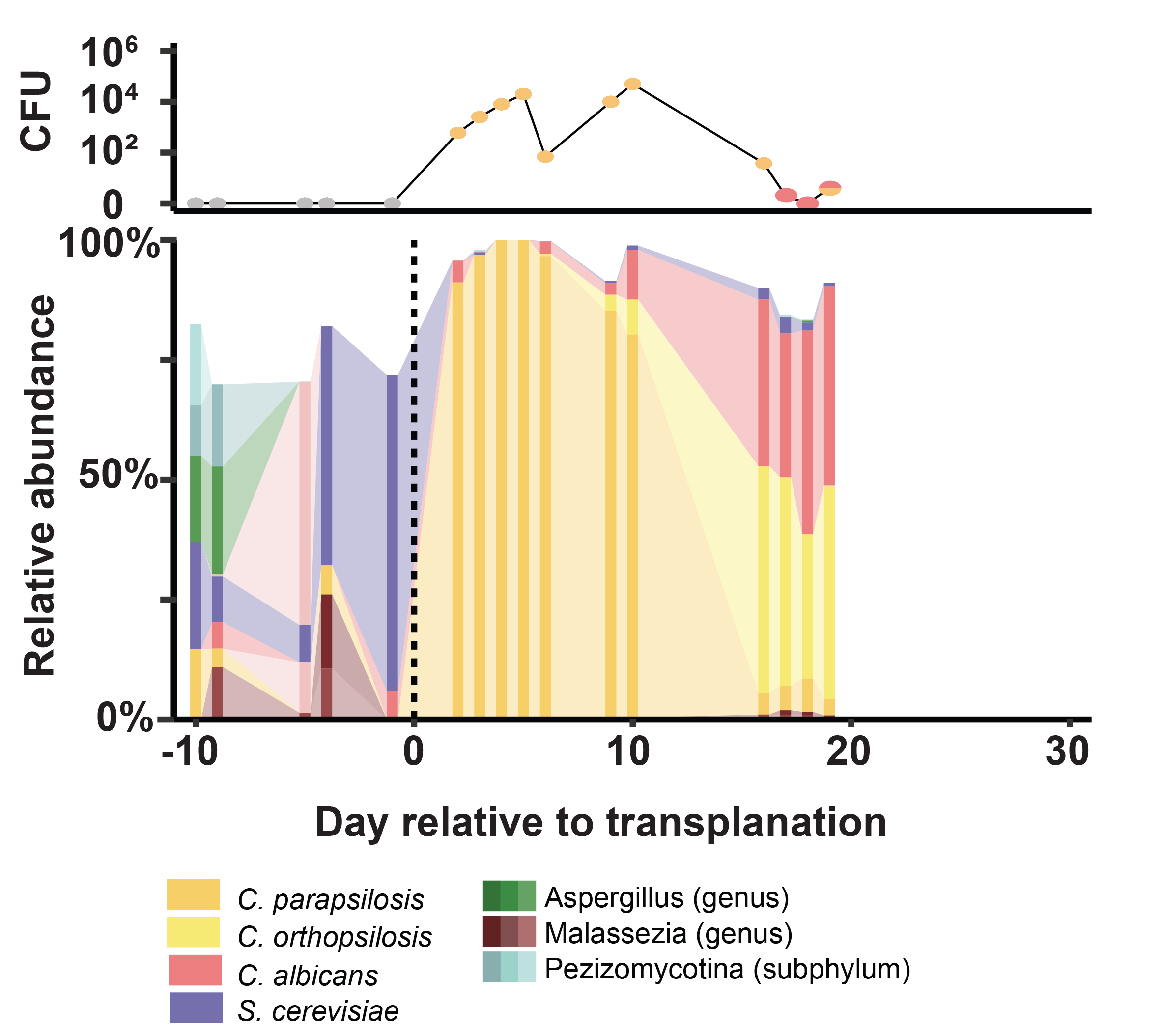 Example of one patient showing time course of the mycobiota and of fungal cultures