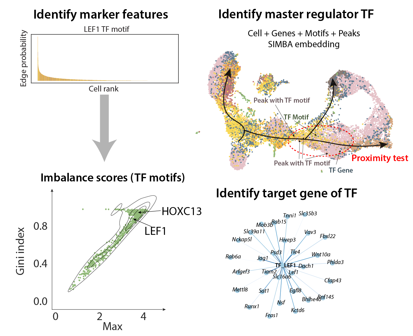 Figure 3. SIMBA analyses enabled by the joint embedding of cells and features from single-cell graphs.