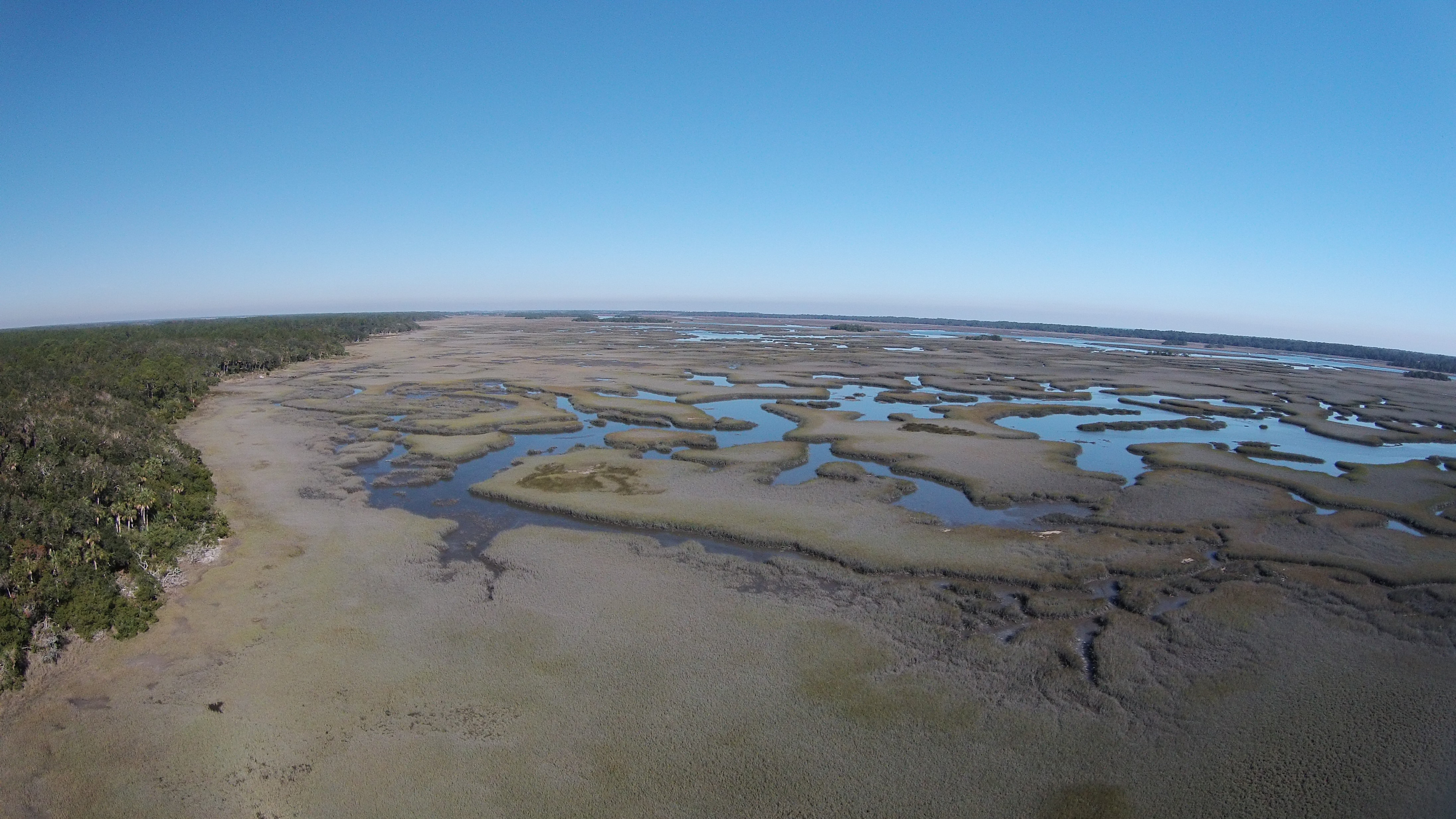 Drone image of a marsh in the GTM NERR, St Augustine, FL