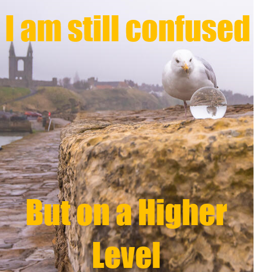 Contemplative Seagull on the Pier in St Andrews
