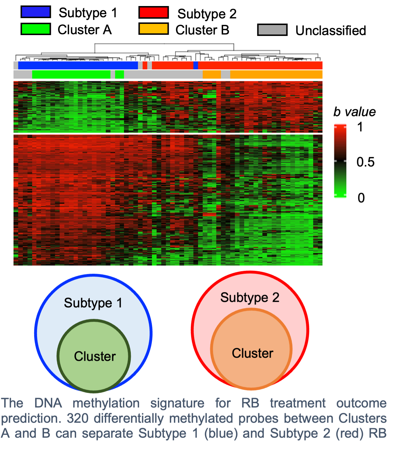 The DNA methylation signature for RB treatment The DNA methylation signature for RB treatment outcome prediction. 320 differentially methylated probes between Clusters A and B can separate Subtype 1 (blue) and Subtype 2 (red) RB samples.
