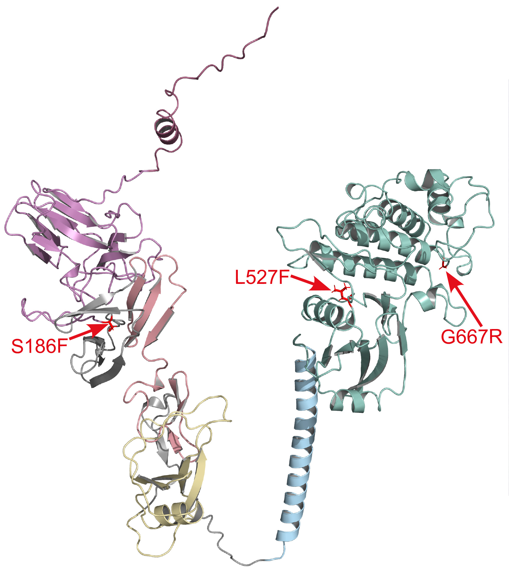 AlphaFold 2 model of Stb15
