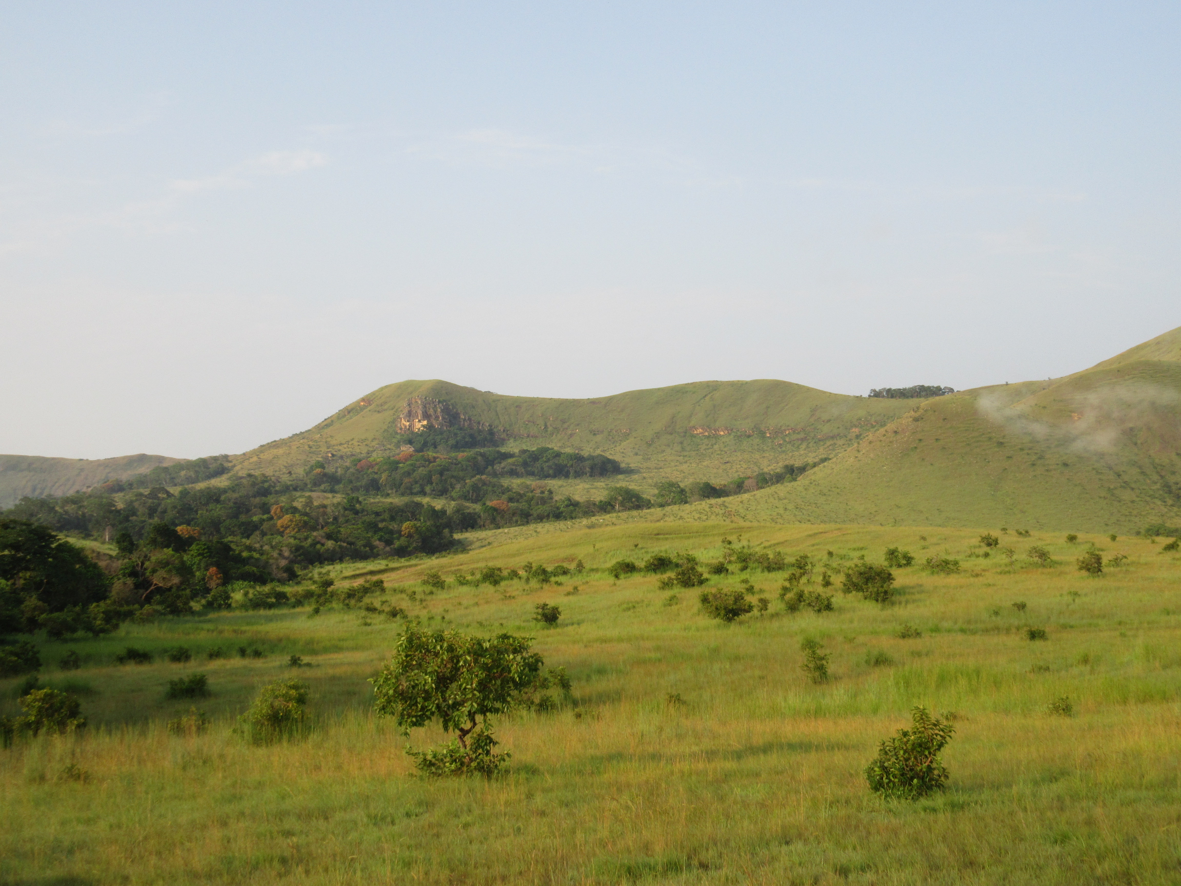 Savanna in Gabon, a habitat where oil palm plantations have expanded recently 