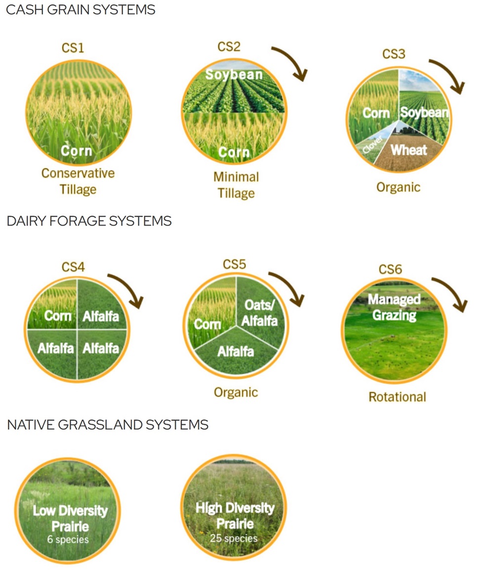 WICST cropping rotations A diagram of the cropping rotations at WICST, showing each rotation as a circle with each phase of the rotation as a section of the circle.