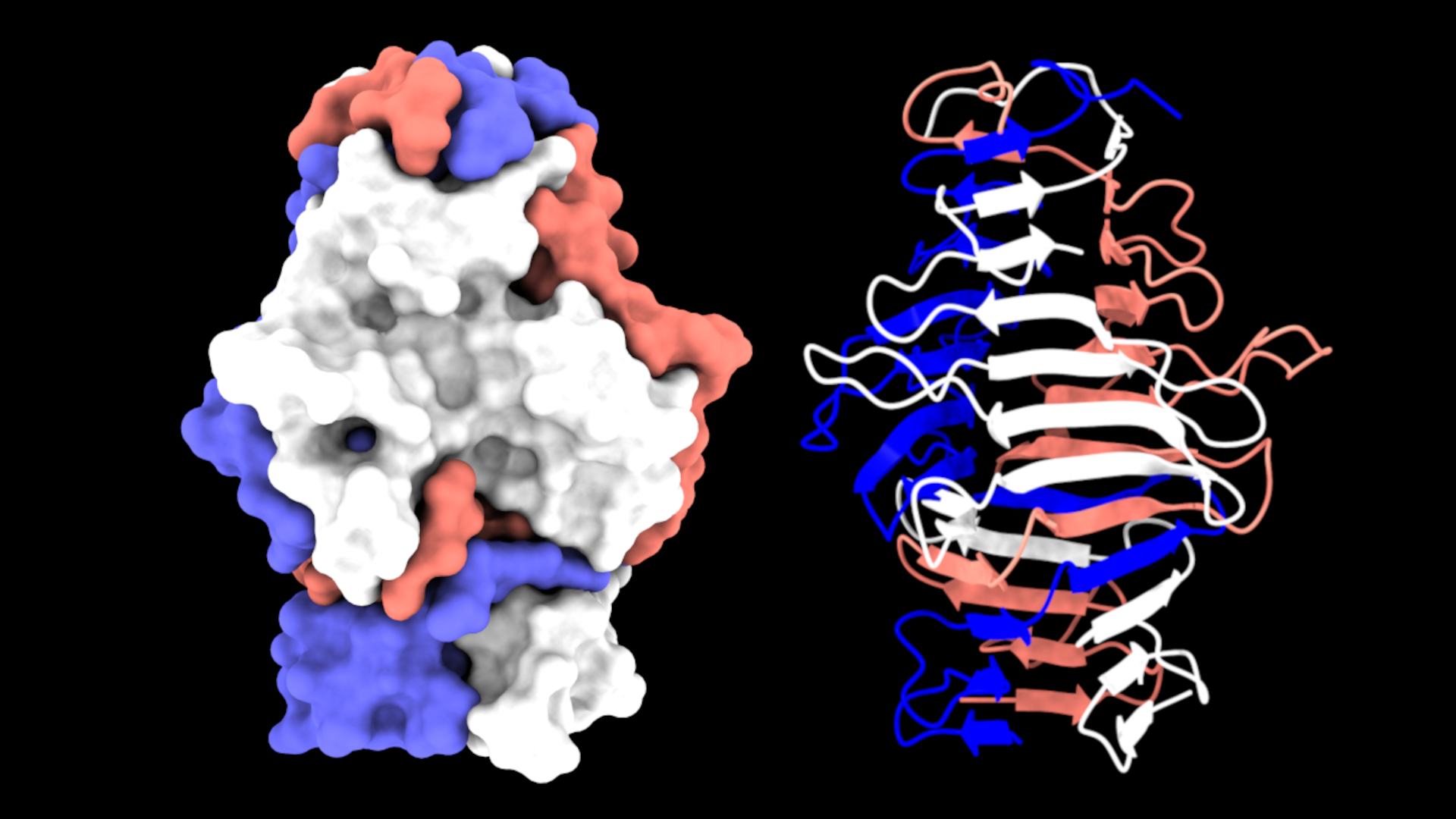 surface and cartoon diagram of bd3182