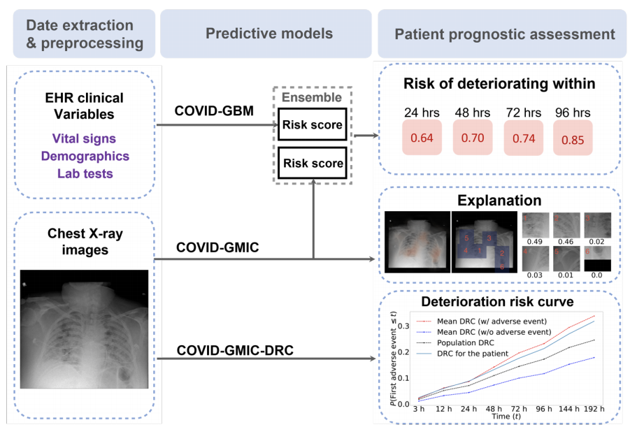 Overview of the AI system that assesses the patient’s risk of deterioration every time a chest X-ray image is collected in the ED. The system produces three types of outputs: (i) overall risk of deterioration within 24, 48, 72, and 96 hours using the multimodal average prediction of a deep neural network (COVID-GMIC) and a gradient boosting model (COVID-GBM), (ii) saliency maps for interpretability using COVID-GMIC, and (iIi) deterioration risk curves (DRC) using a modified version of the deep learning network (COVID-GMIC-DRC).