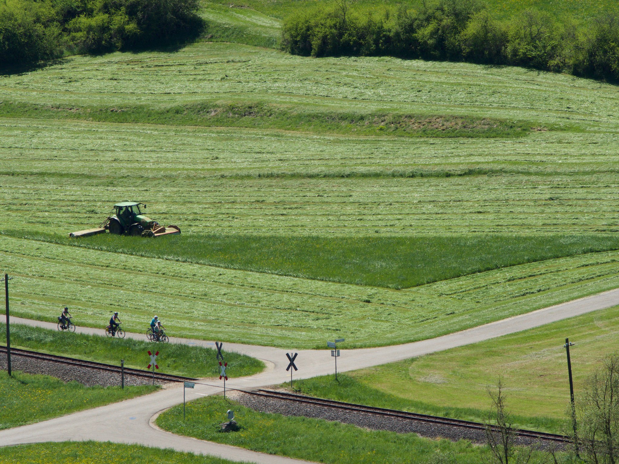 Mowing in the Swabian Alps, Germany. Photo credit: Peter Manning (2017).
