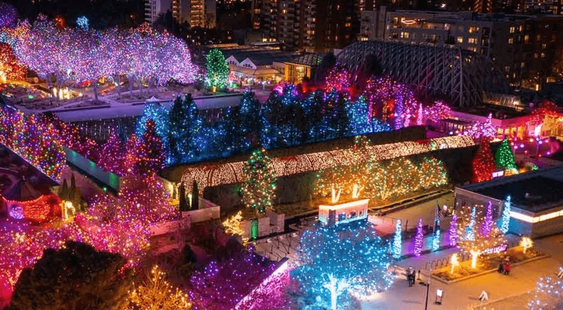Denver Botanic Gardens Blossoms of Light