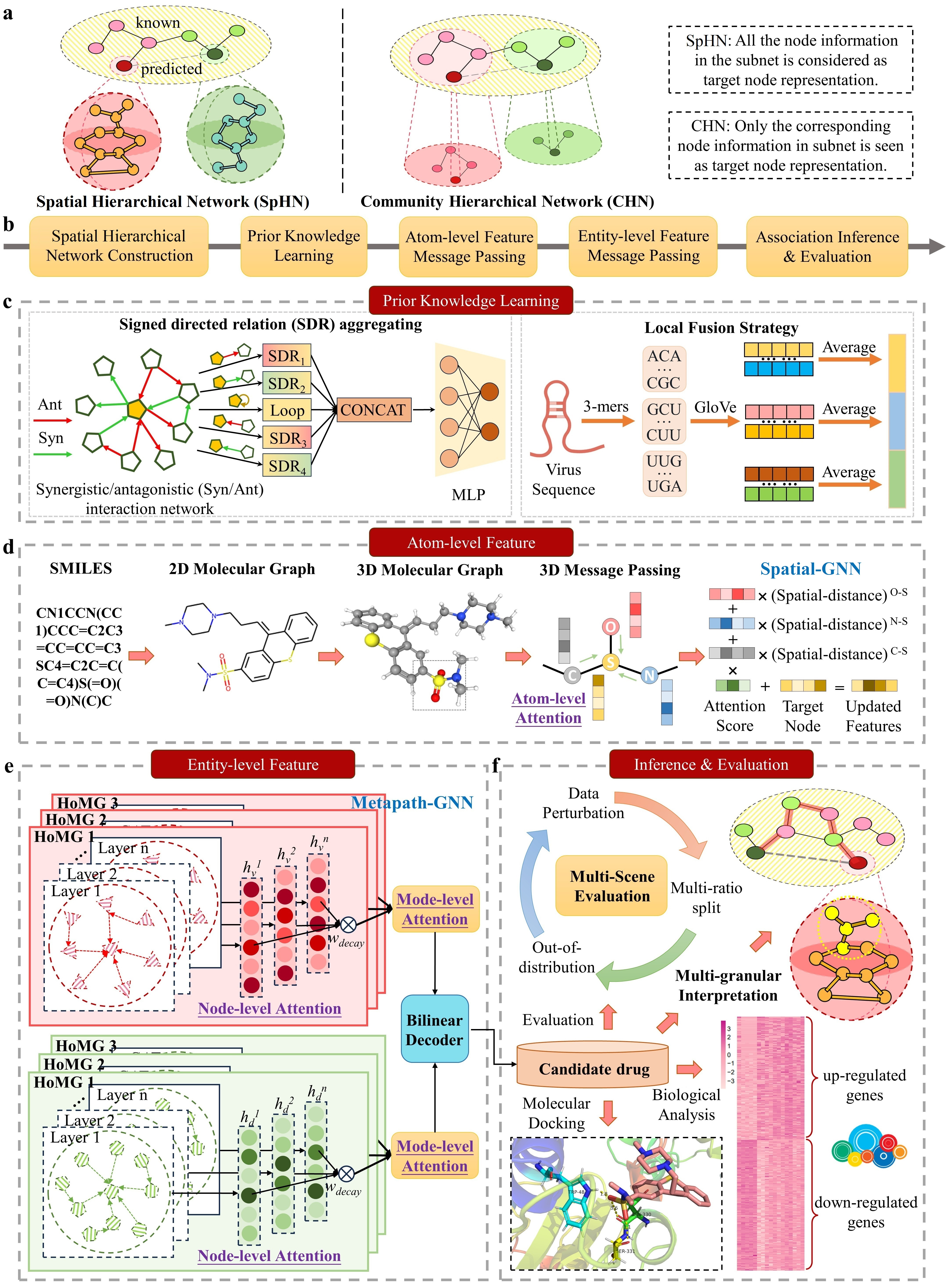 Fig. 1 Schematic diagram of the SpHN-VDA architecture.