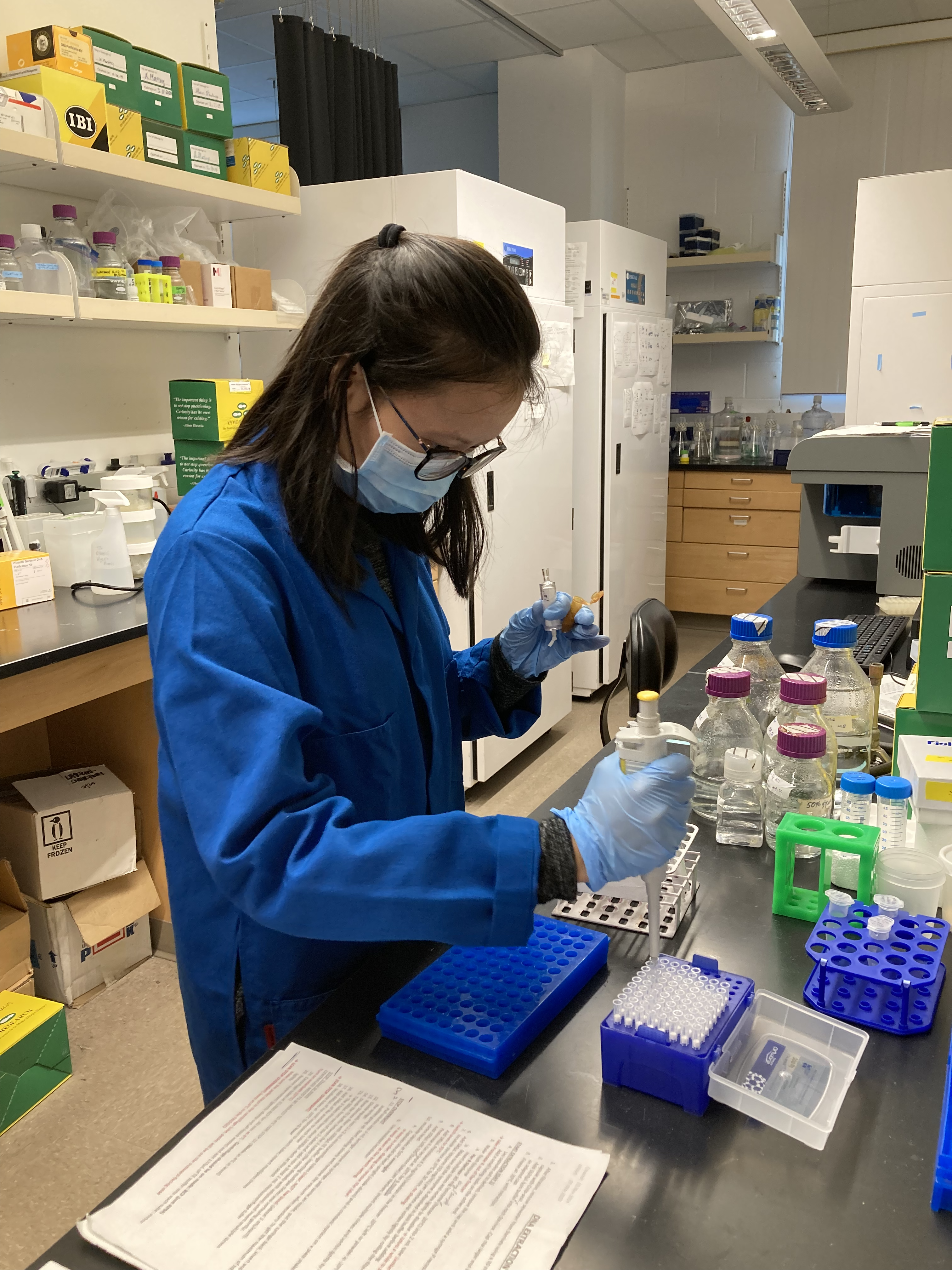 Former Martiny lab undergraduate student, Toan Lam, processes DNA samples in the lab. Photo credit: Melissa Brock, UCSD