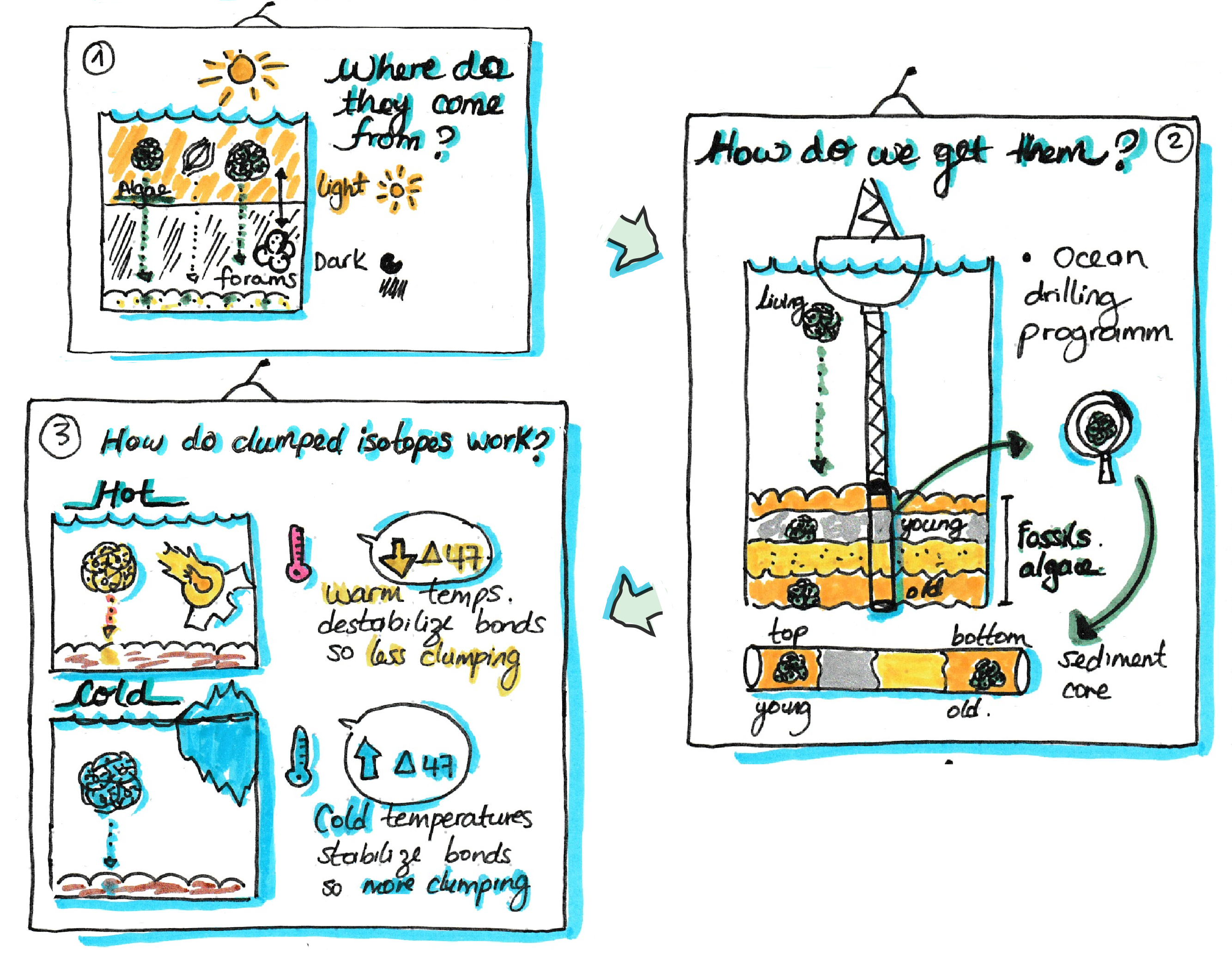 1.	Coccolithophores are photosynthetic organisms (need light-upper ocean) that produce calcite plates (coccoliths), which, when dead, sink to the sediment. 2. We drill sediments and retrieve fossilized coccoliths from different ages. 3. There is more clumping -bonds- (∆47) between rare oxygen and carbon isotopes (18O and 13C) when coccoliths are produced at lower temperatures. This way by measuring ∆47 we know the temperatures at which coccolithophores were living