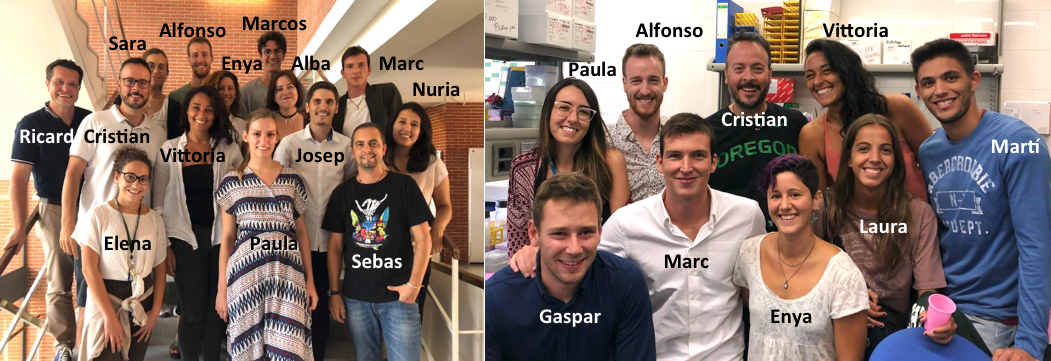 Barcelona Oikolab 2014-2020