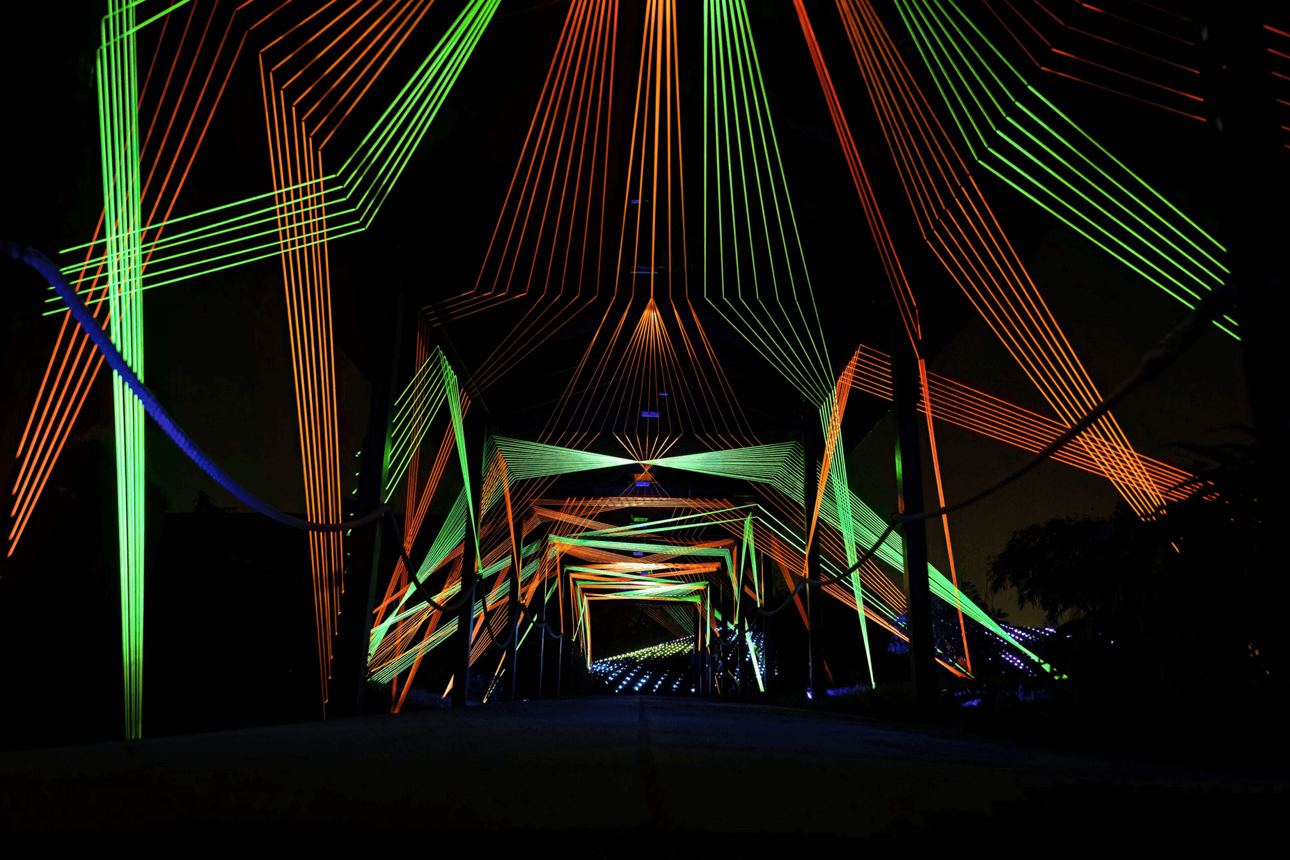 Lightscape at San Diego Botanic Garden