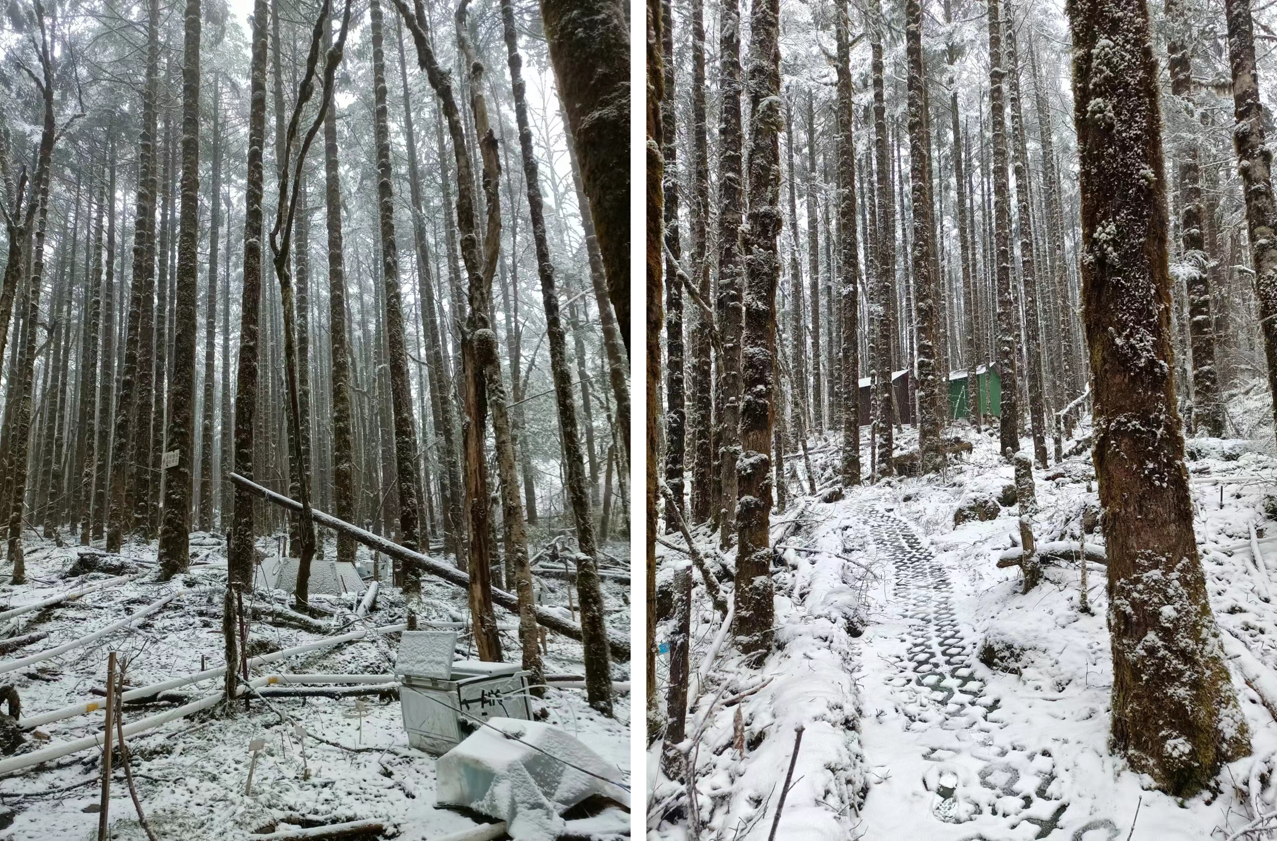 Figure 3. Challenges of this study: Bad weather affected the performance of the automated chambers, but we quickly performed maintenance to restore functionality (Courtesy of Xinran Wu).