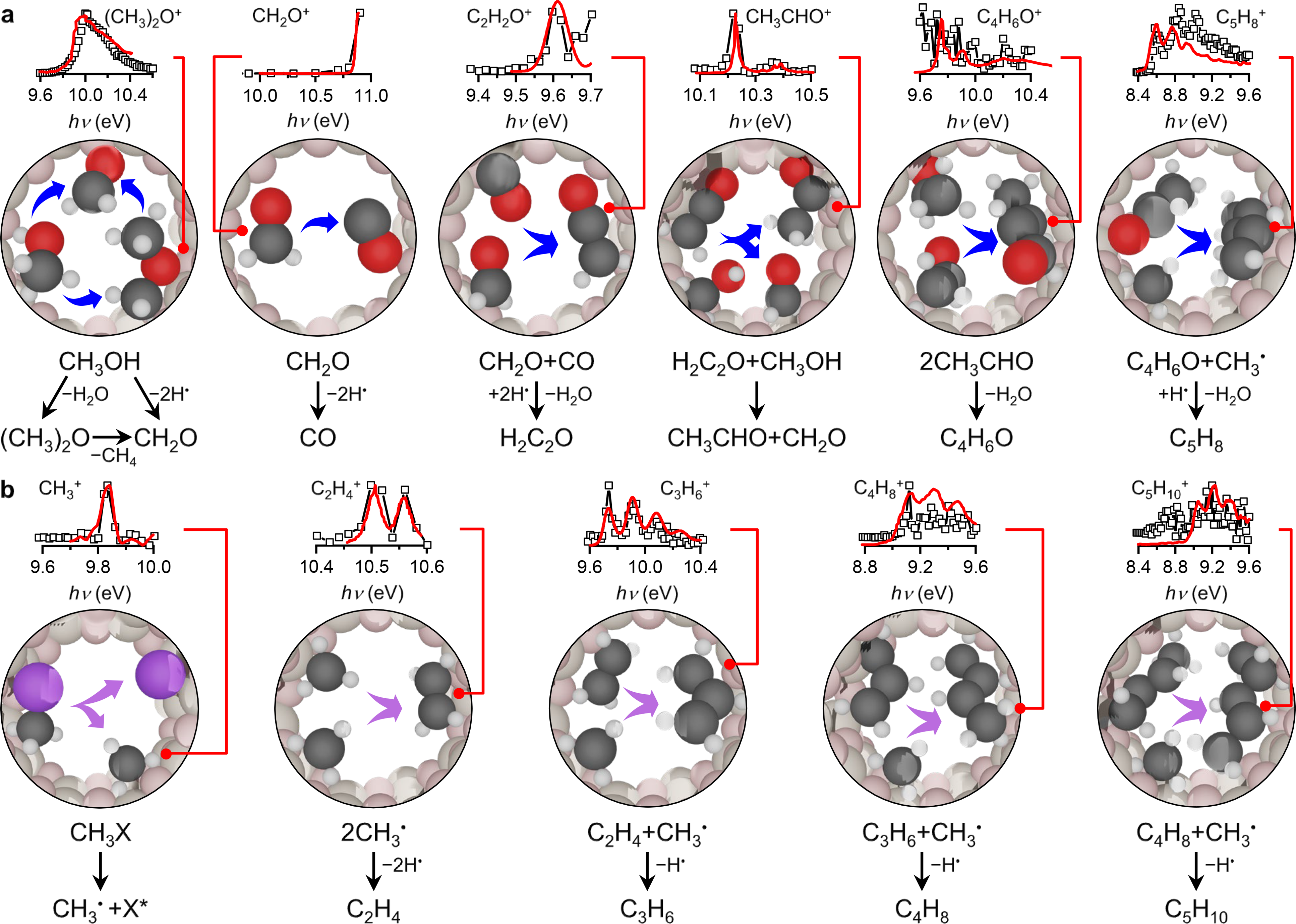 Proposed reaction network of a, the oxygenate driven reaction in MTH and b, the direct CH3• radical-addition pathway in MTH and MCTH to yield C5 intermediates in the micropores of H ZSM-5. The insets on top of the molecular schemes show the ms TPE (open squares) and reference spectra (solid lines) of the identified species in a, MTH and b, MCTH. The main identified isomers are represented by the molecular models in a,b. Color code: C (grey), O (red), H (white), X (X = OH, Cl; violet). 