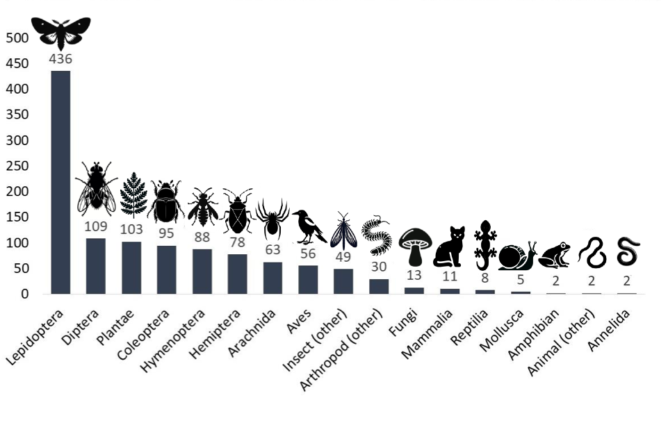 Bar plot of the 436 lepidoptera, 109 diptera, 103 plantae, 95 coleoptera, 88 hymenoptera 78 hemiptera, 63 arachnida, 56 aves, 49 other insects, 30 other arthropods, 13 fungi, 11 mammalia, 8 reptilia, 5 mollusca, 2 amphibia, 2 other animal, and 2 annelida we found