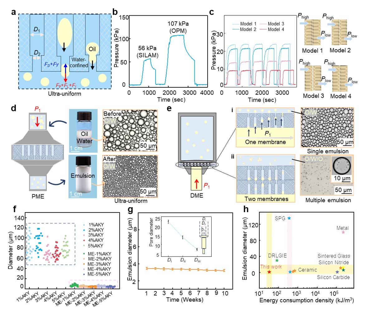 Figure 3. SILAMS for homogeneous emulsification.