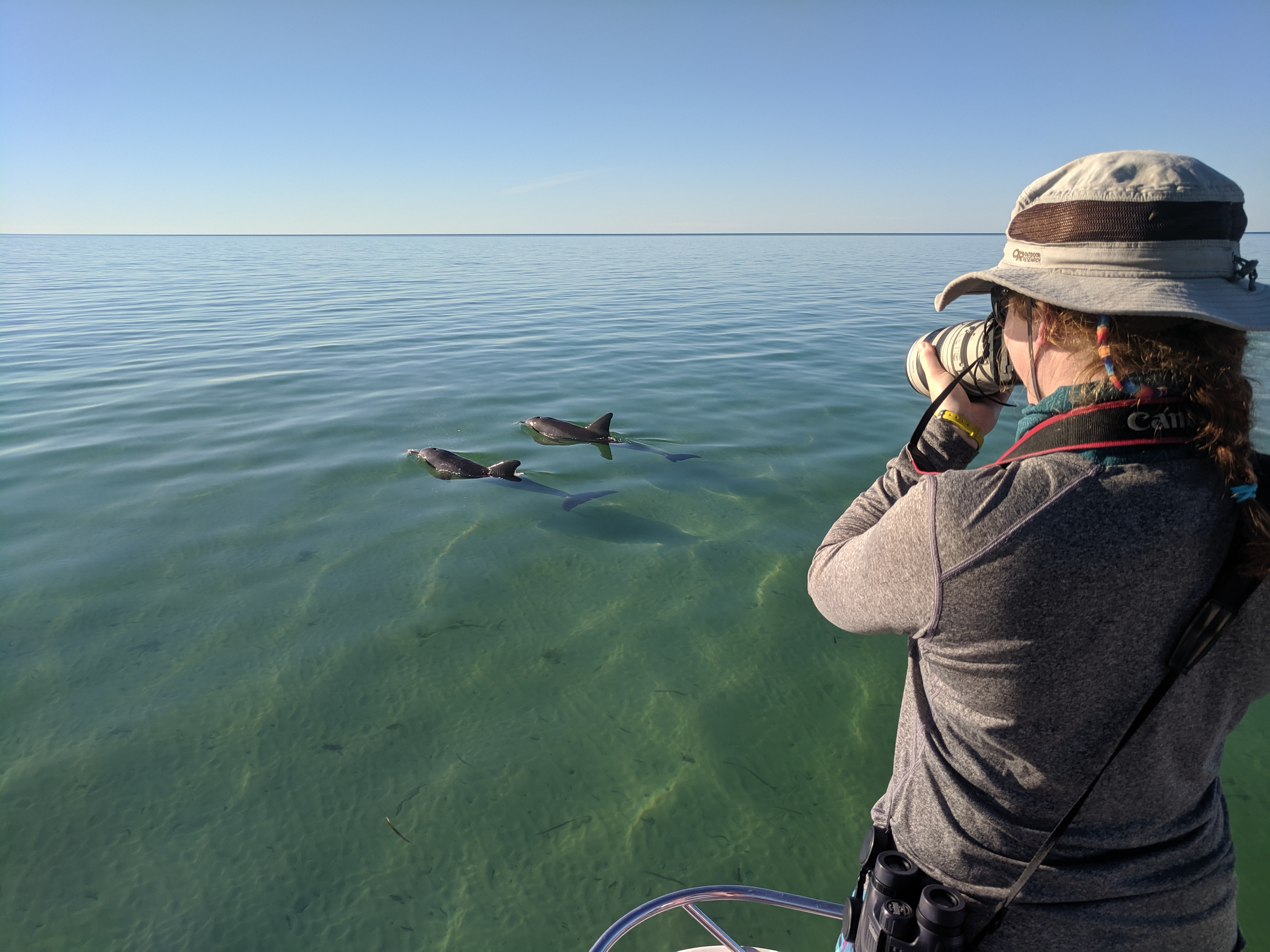 SBDRP data collection