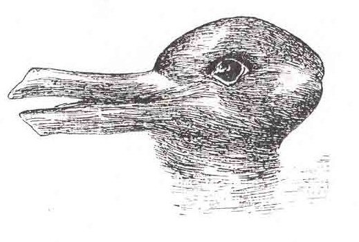 An image that can be interpreted as a rabbit facing right or a duck facing left.